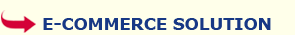 Total IT Service E-commerce Solution